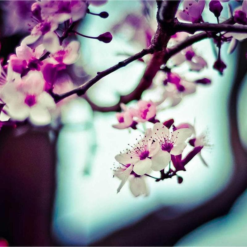 Emerytura i oszczednosci