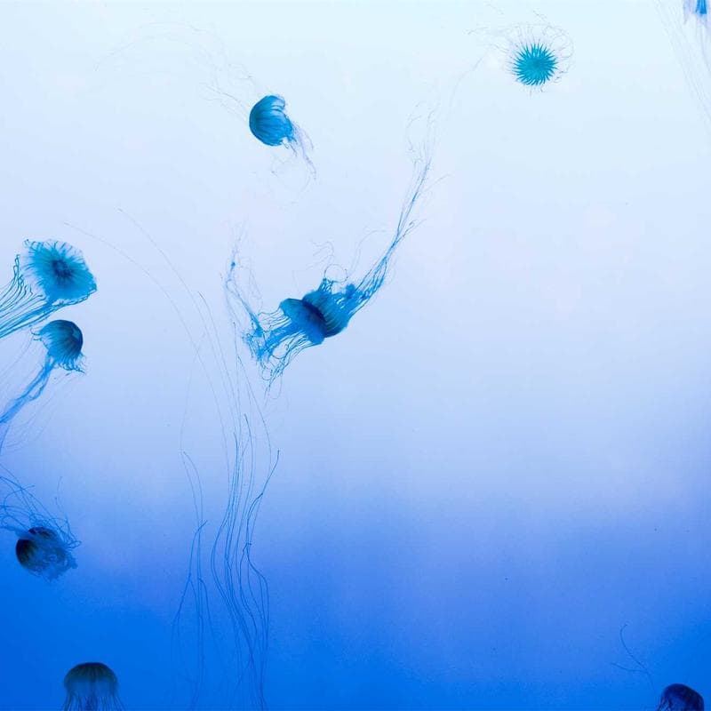 Pieniadze pod kontrola